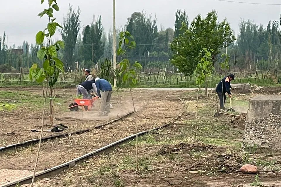 Forestación en Cuadro Benegas