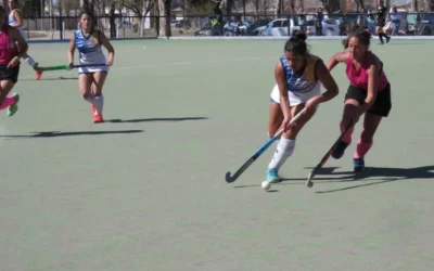 Hockey Social: nuevo torneo con más de 40 equipos y cientos de jugadores