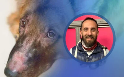 Enfermedades dermatológicas en mascotas: cuáles son los signos de alerta