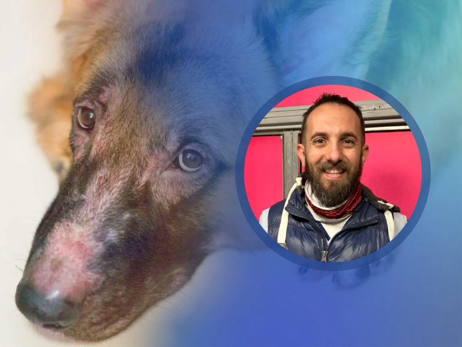 Pablo Noguerol veterinaria enfermedades dermatológicas en mascotas