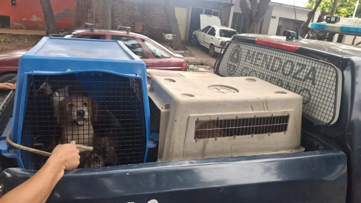 Condena por maltrato animal Mendoza 2026 Pempa-fallo-historico2