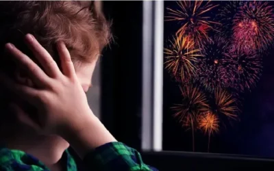 Celebremos sin dañar: en San Rafael decimos NO a la pirotecnia