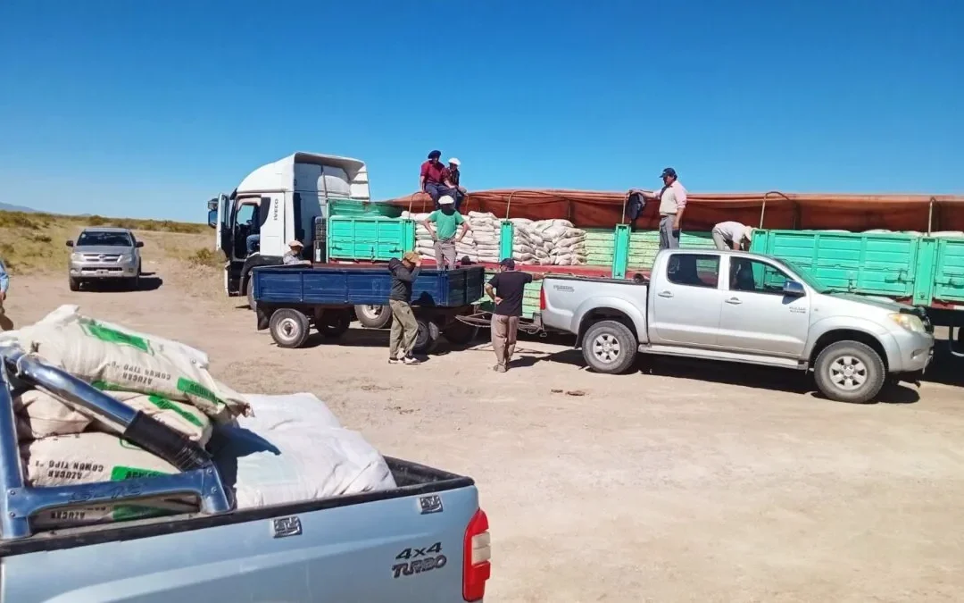 Secano de San Rafael: apoyo a productores y mejora de caminos rurales
