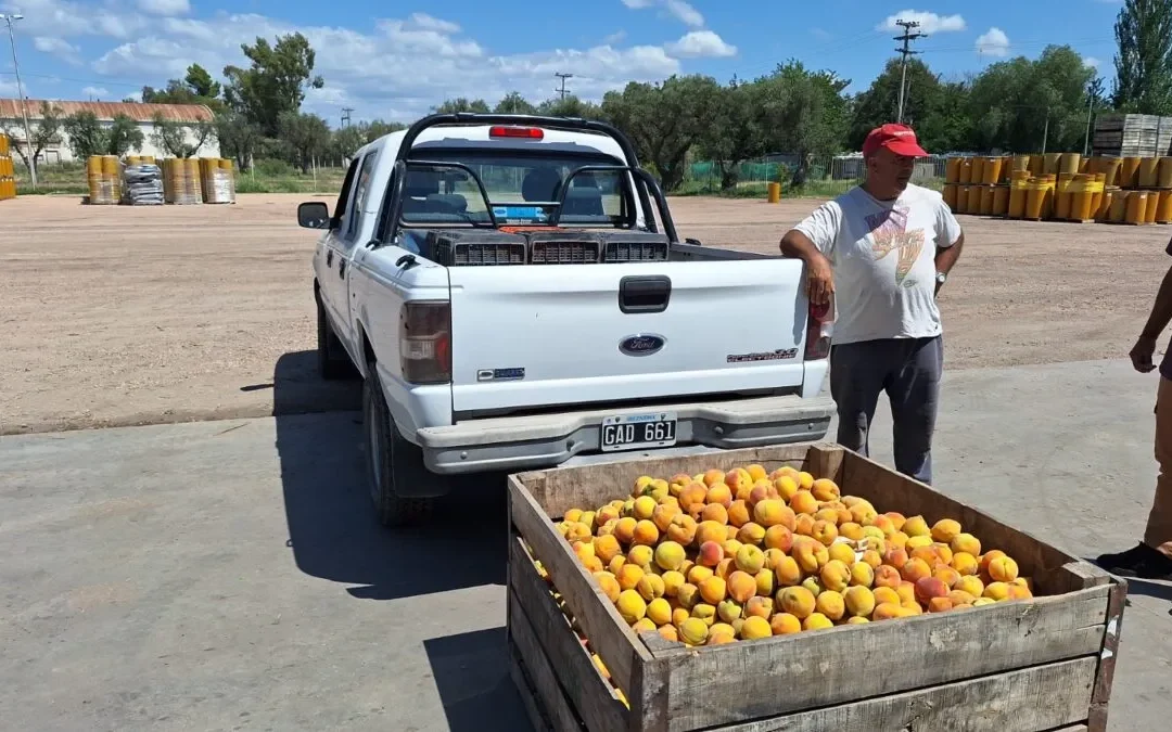 Productores sanrafaelinos: «Sin la pulpera no tendríamos donde llevar nuestra fruta»