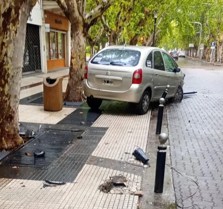 Destrozos en el paseo Pellegrini: el conductor tendrá que pagar más de 8 millones de pesos