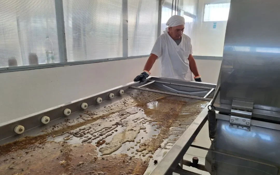 Inició la temporada de extracción de miel en la sala comunitaria