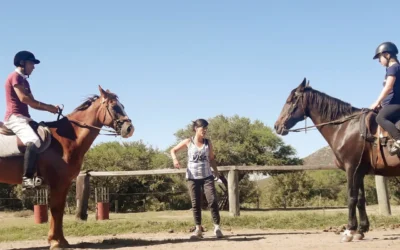 Fundación Tremo Kawell celebra 15 años de trabajo por la inclusión junto al caballo