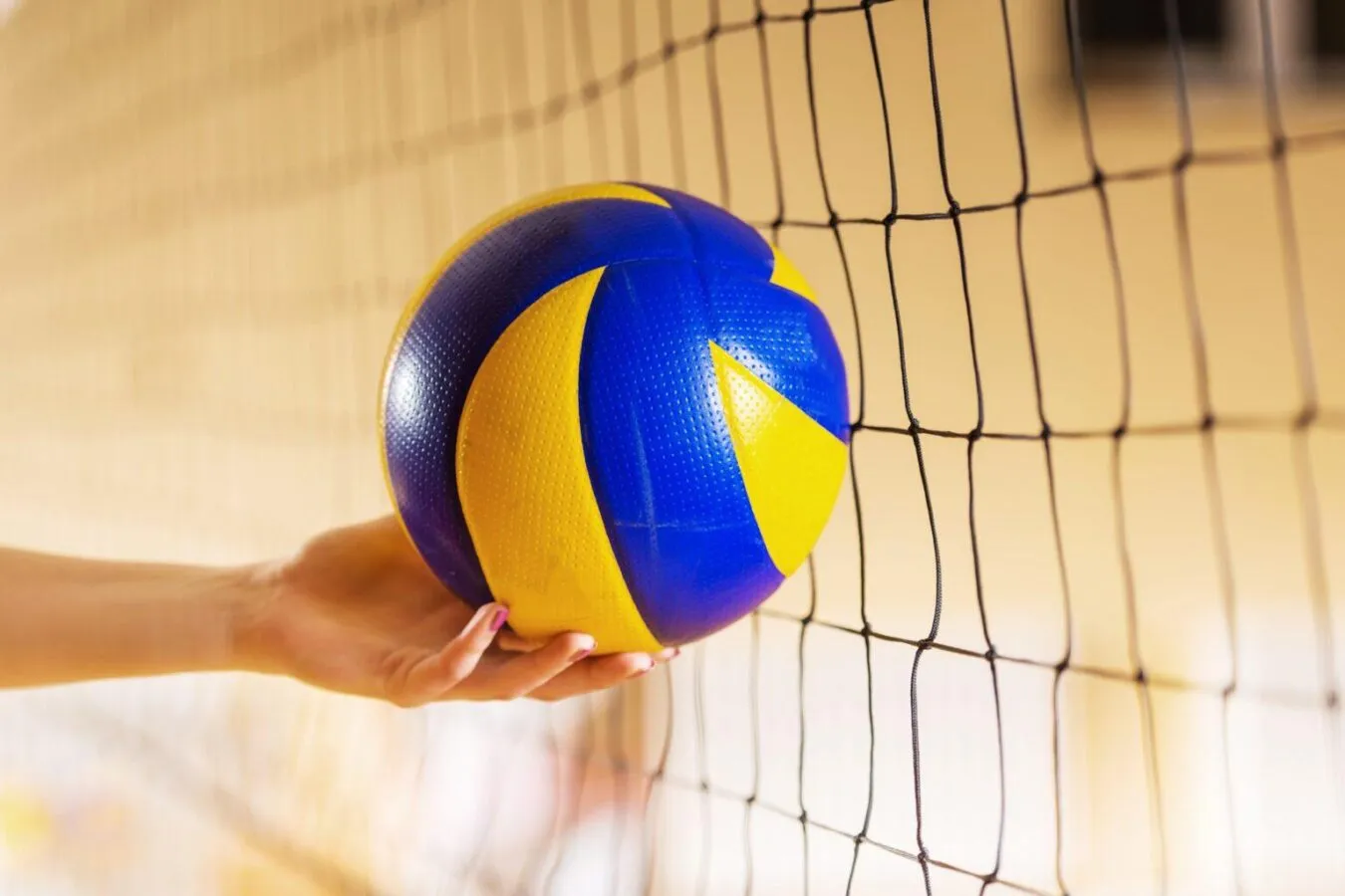 Voley-san-rafael
