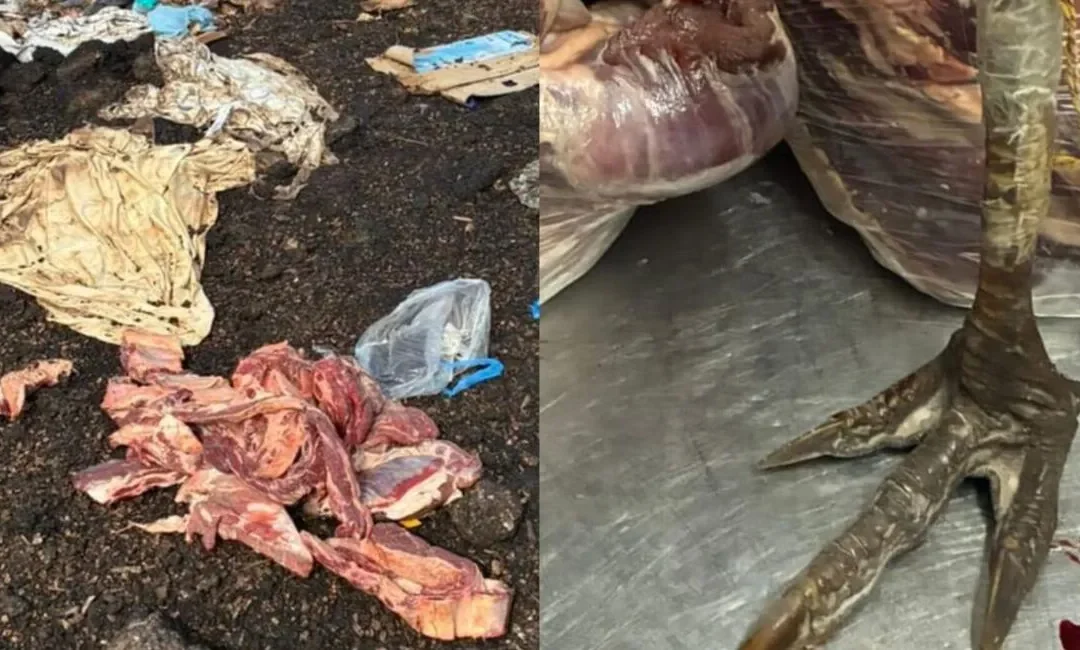 Detectaron una pata de choique en un comercio de Alvear