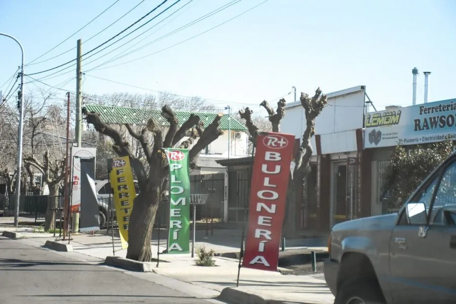 El Municipio en alerta por la mutilación ilegal de árboles ante la inacción de Recursos Naturales de la Provincia