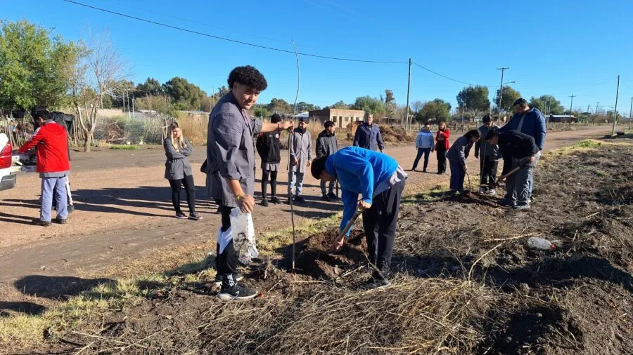 El Municipio sigue con su plan de forestación en los distritos