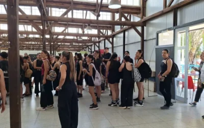 Con más de 350 postulantes, iniciaron las audiciones para la vendimia departamental 2026