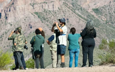 El Club Los Pirinchos invita a una nueva jornada de avistamiento de aves en el Camping del Tigre