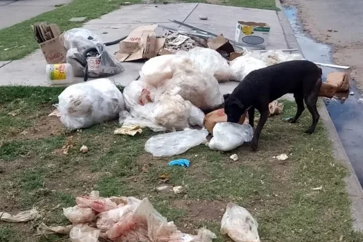 Basura en la vía pública