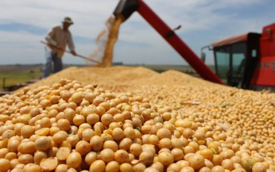 Baja de retenciones: el Gobierno anunció una reducción escalonada para el agro y los biocombustibles
