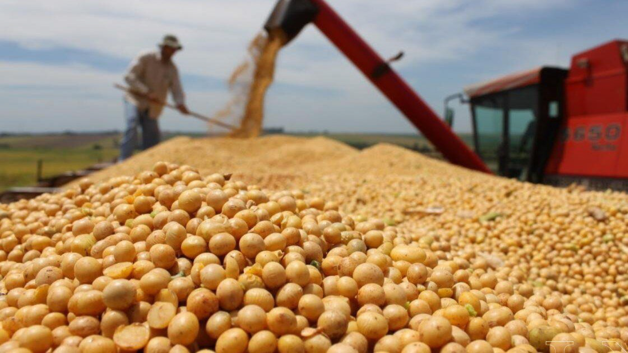 El Gobierno oficializó una baja de retenciones para productos estratégicos del agro. El Gobierno oficializó una baja de retenciones para productos estratégicos del agro.