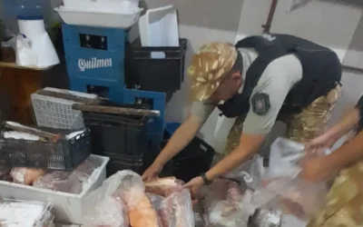 Comerciante guardaba 400 kilos de carne en mal estado