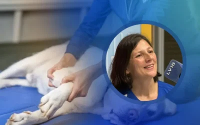 Fisioterapia y rehabilitación: una herramienta clave para mejorar la calidad de vida de las mascotas