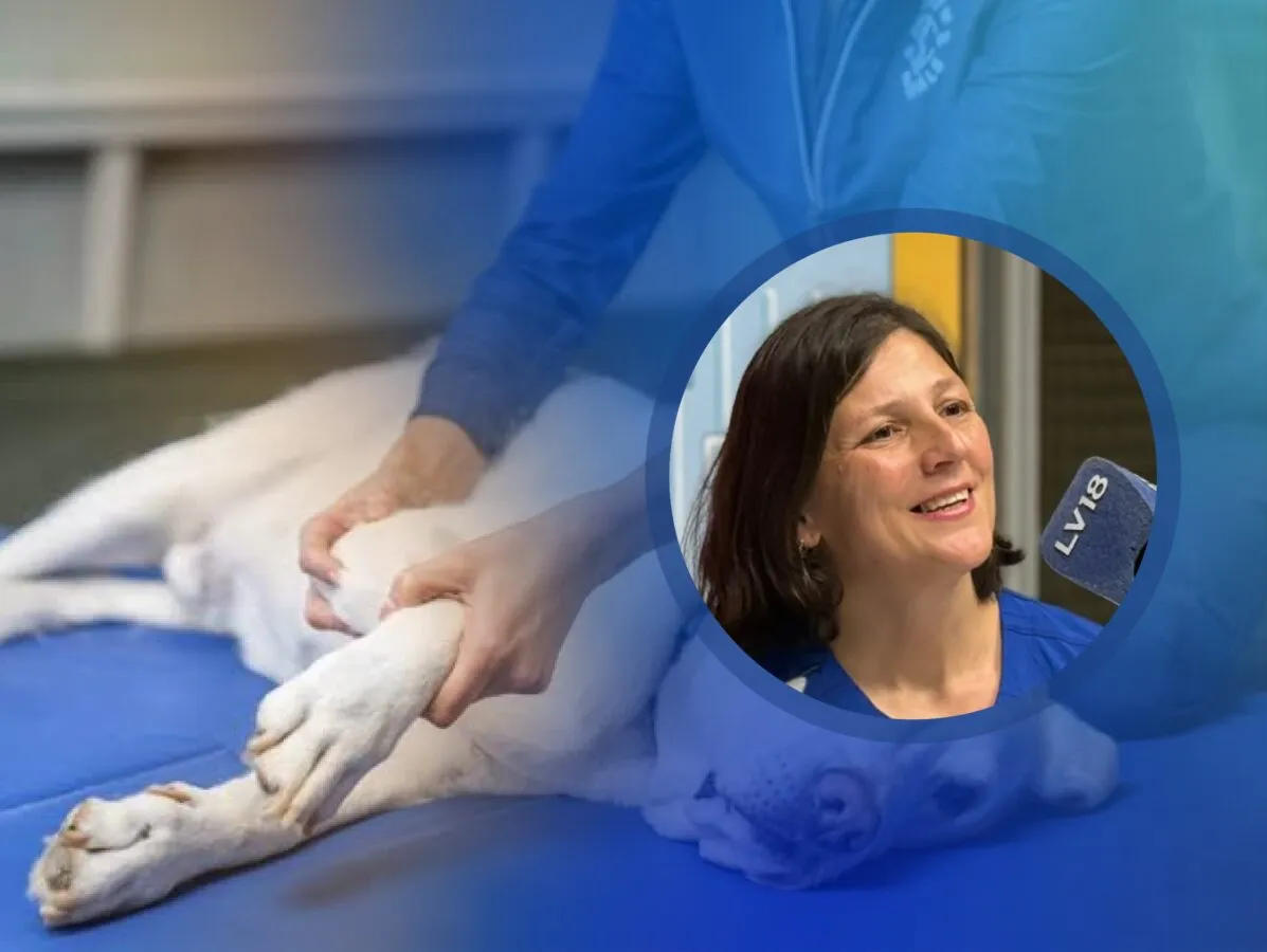 Cecilia García médica veterinaria