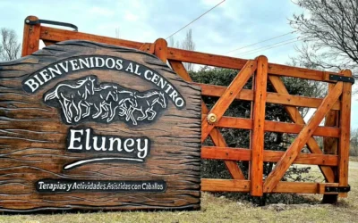 Silvina Balbo, terapeuta y cofundadora de Eluney, habló sobre lo que proponen las TACAs