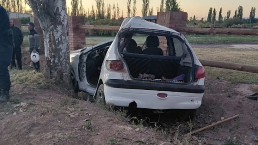 Cuadro Benegas: joven chocó contra un árbol y terminó en UTI
