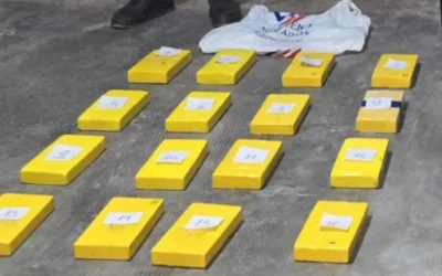 Impactante secuestro de 64 kilos de cocaína entre bananas con destino a Mendoza