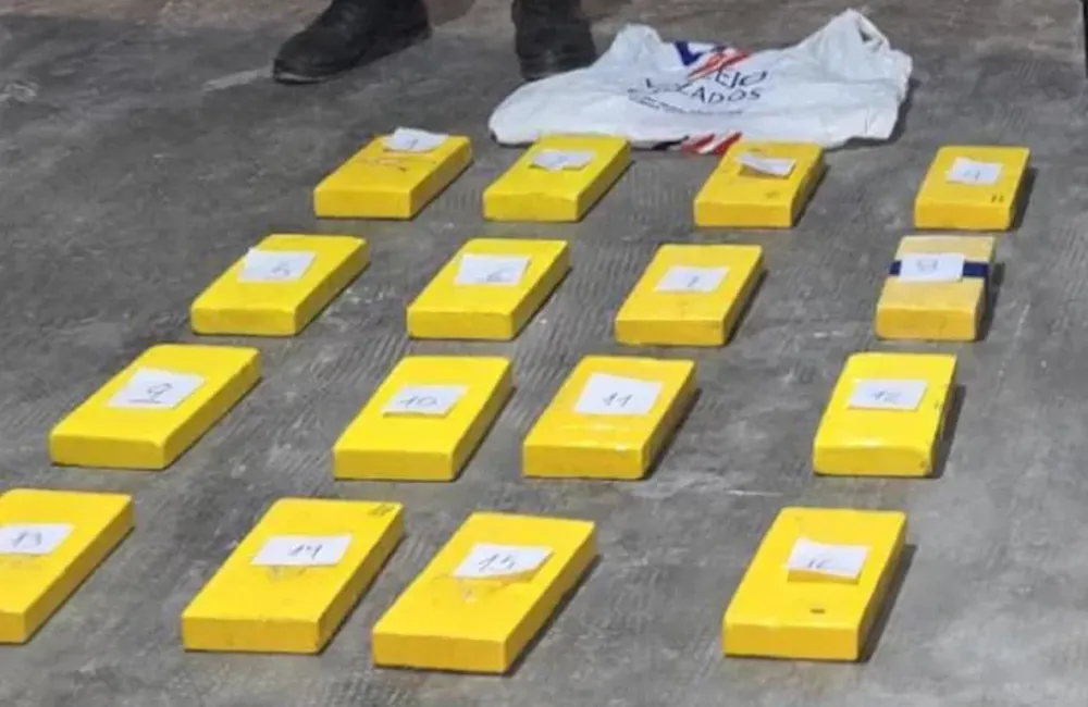 Cocaína entre bananas con destino a Mendoza cocaina