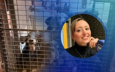 Proyecto para regularizar los criaderos de perros: entre el control y el bienestar animal