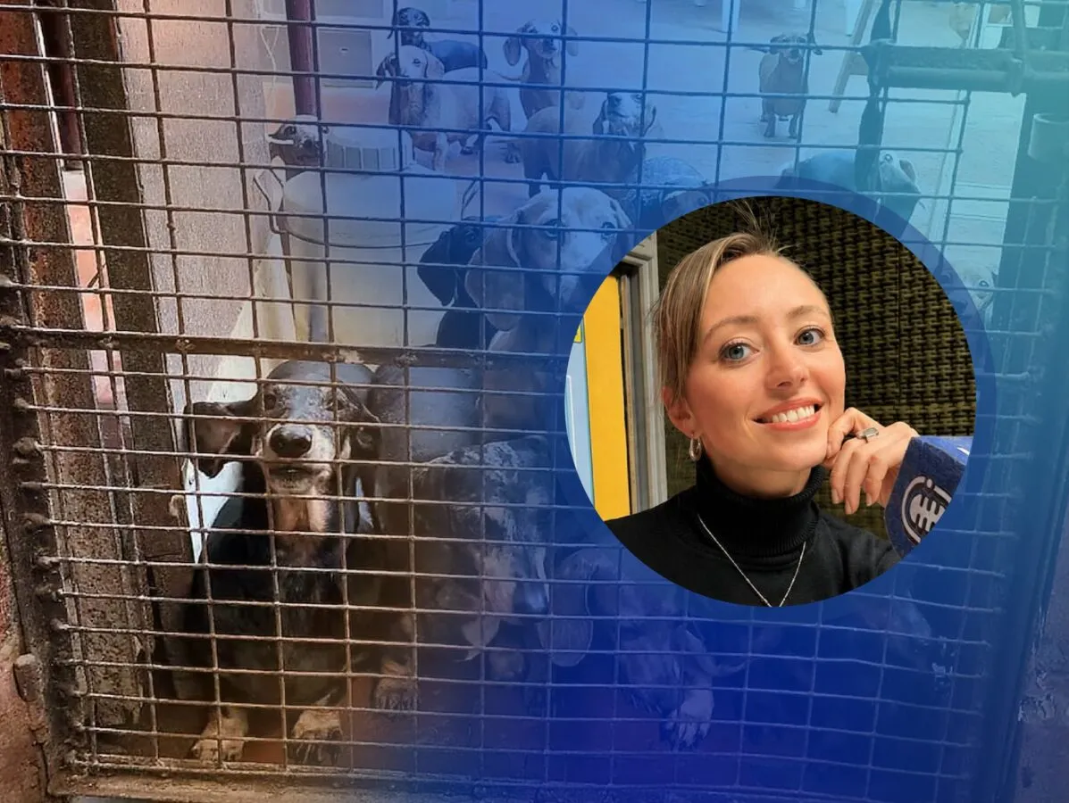 Debora Ferrero Regulación de criaderos de perros
