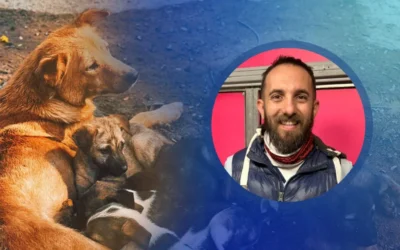 Pablo Noguerol, médico veterinario: «La castración sigue siendo la mejor herramienta para el bienestar animal»
