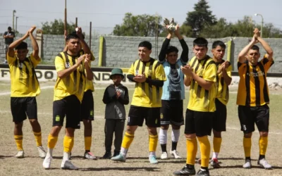 Primera B: Constitución se consagró campeón