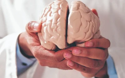 Concentración y cerebro: las claves para recuperar el foco en la vida cotidiana