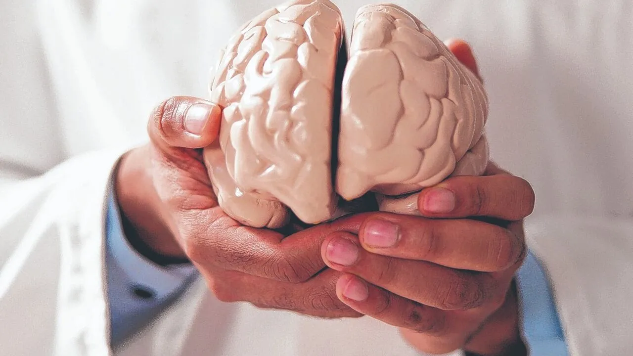 Neurociencia aplicada a la vida cotidiana