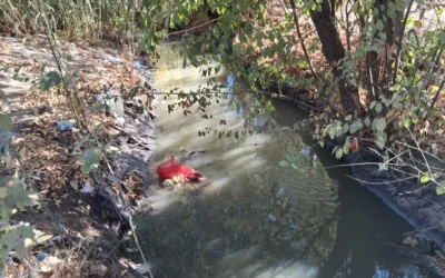 Escándalo en Mendoza: imputan al titular de AYSAM por vertidos cloacales en canales de riego
