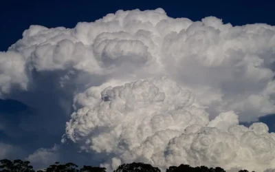 Alerta amarilla por tormentas fuertes: 4 datos clave para General Alvear y San Rafael este viernes
