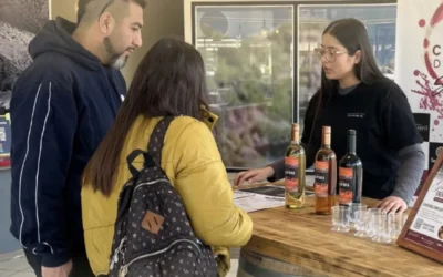 Enoturismo en San Rafael: la experiencia que crece y pone a las bodegas locales en el centro de la escena