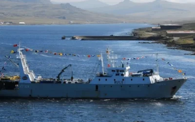 Denuncian a pesqueras en el Atlántico Sur por presunto contrabando bajo licencias británicas