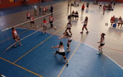 La Asociación Sureña de Vóley realizará su Asamblea Anual