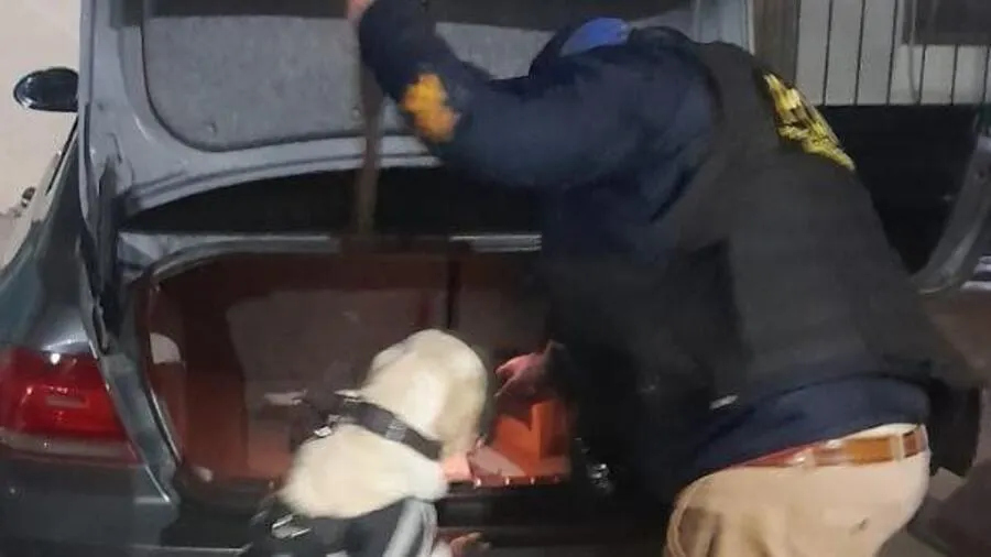 Desarticularon un kiosco de drogas