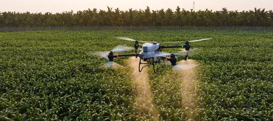 Drones en el campo: cómo esta tecnología reduce costos y revoluciona la producción agrícola