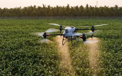 Drones en el campo: cómo esta tecnología reduce costos y revoluciona la producción agrícola