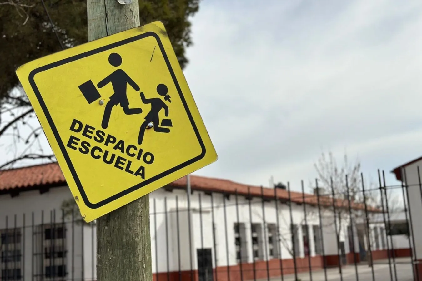 Las escuelas secundarias podrían incorporar contenidos obligatorios sobre tránsito. Las escuelas secundarias podrían incorporar contenidos obligatorios sobre tránsito.