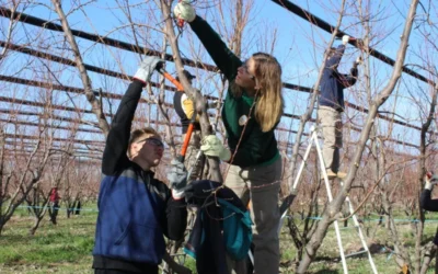 La escuela agraria 4-197 de La Guevarina celebra 25 años: cómo forma técnicos y sostiene la producción en San Rafael