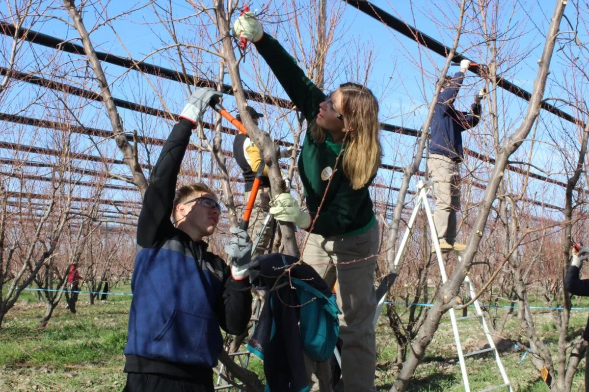 escuela-de-la-guevarina