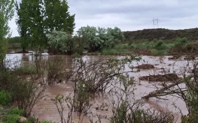 San Rafael en emergencia: cómo asistieron a las familias afectadas por la crecida del río Diamante