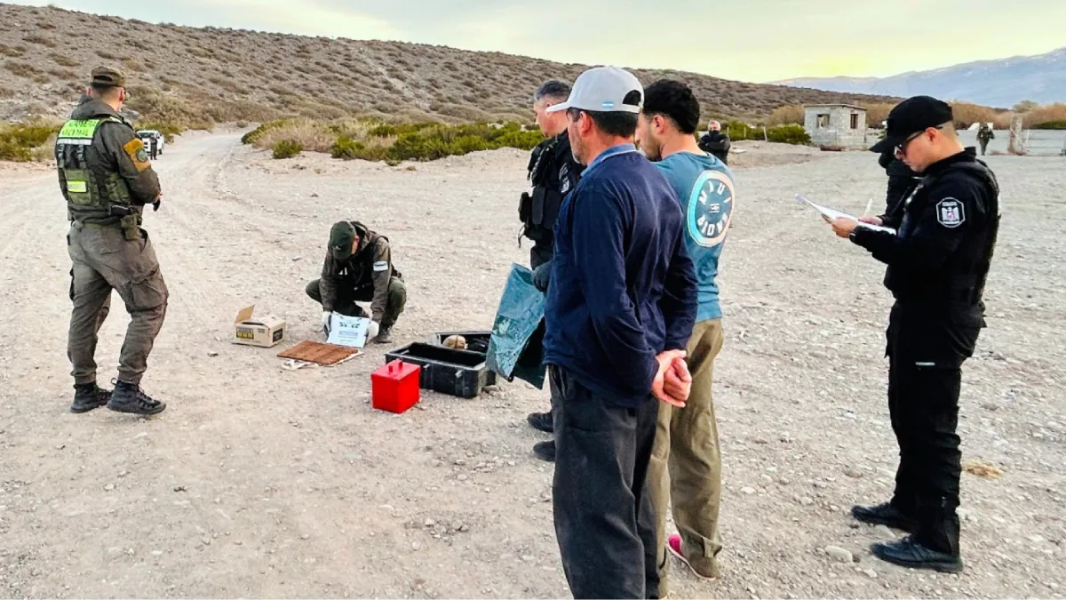 Efectivos de Gendarmería realizaron el operativo sobre la Ruta 40 en Malargüe. Efectivos de Gendarmería realizaron el operativo sobre la Ruta 40 en Malargüe.