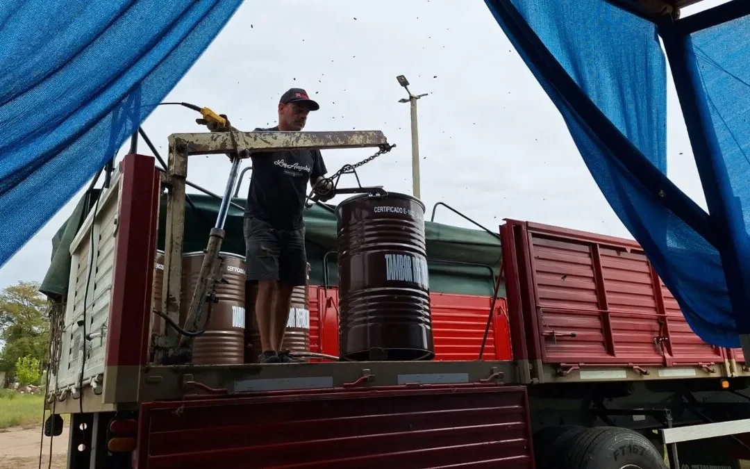 Apicultores sanrafaelinos exportaron más de 17 toneladas de miel