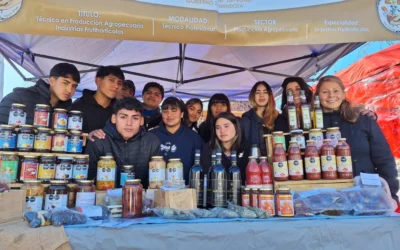 Más escuelas técnicas incorporan sus producciones a la Feria Franca Municipal