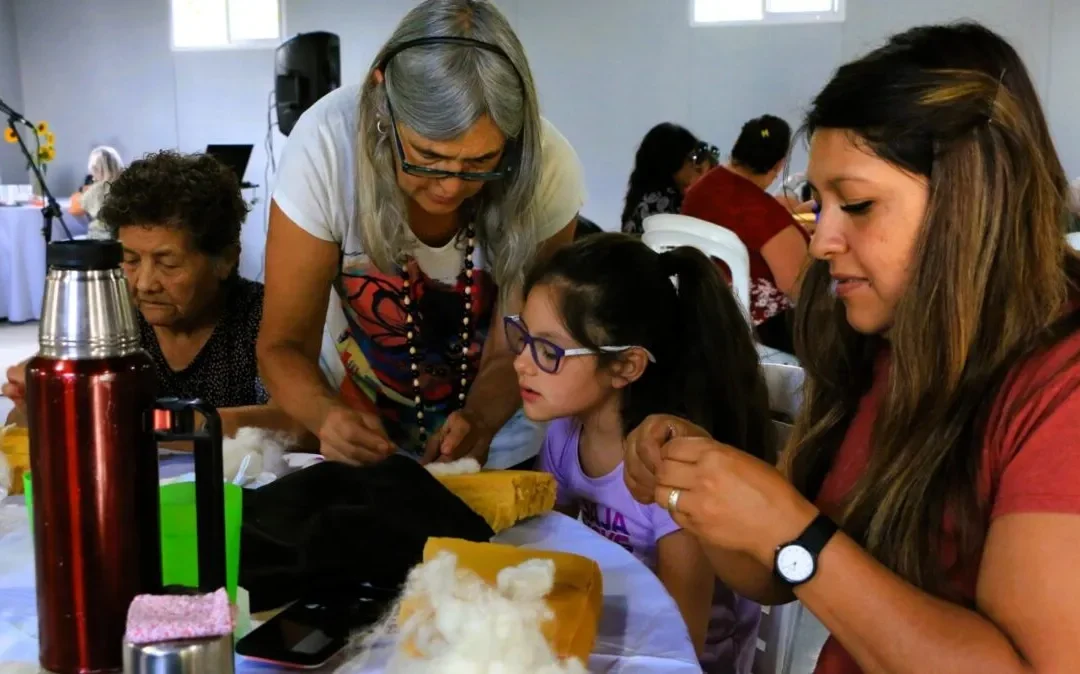 Fieltro: una alternativa laboral para las mujeres del secano sanrafaelino