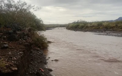 Precipitaciones en Mendoza: San Rafael ya registra cerca del 50% del promedio anual de lluvias